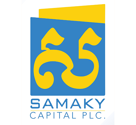 YLP Microfinance PLC